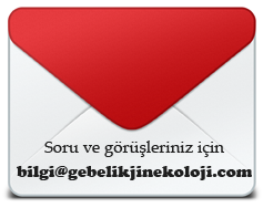 opera mail icon 1